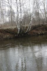 пехорка